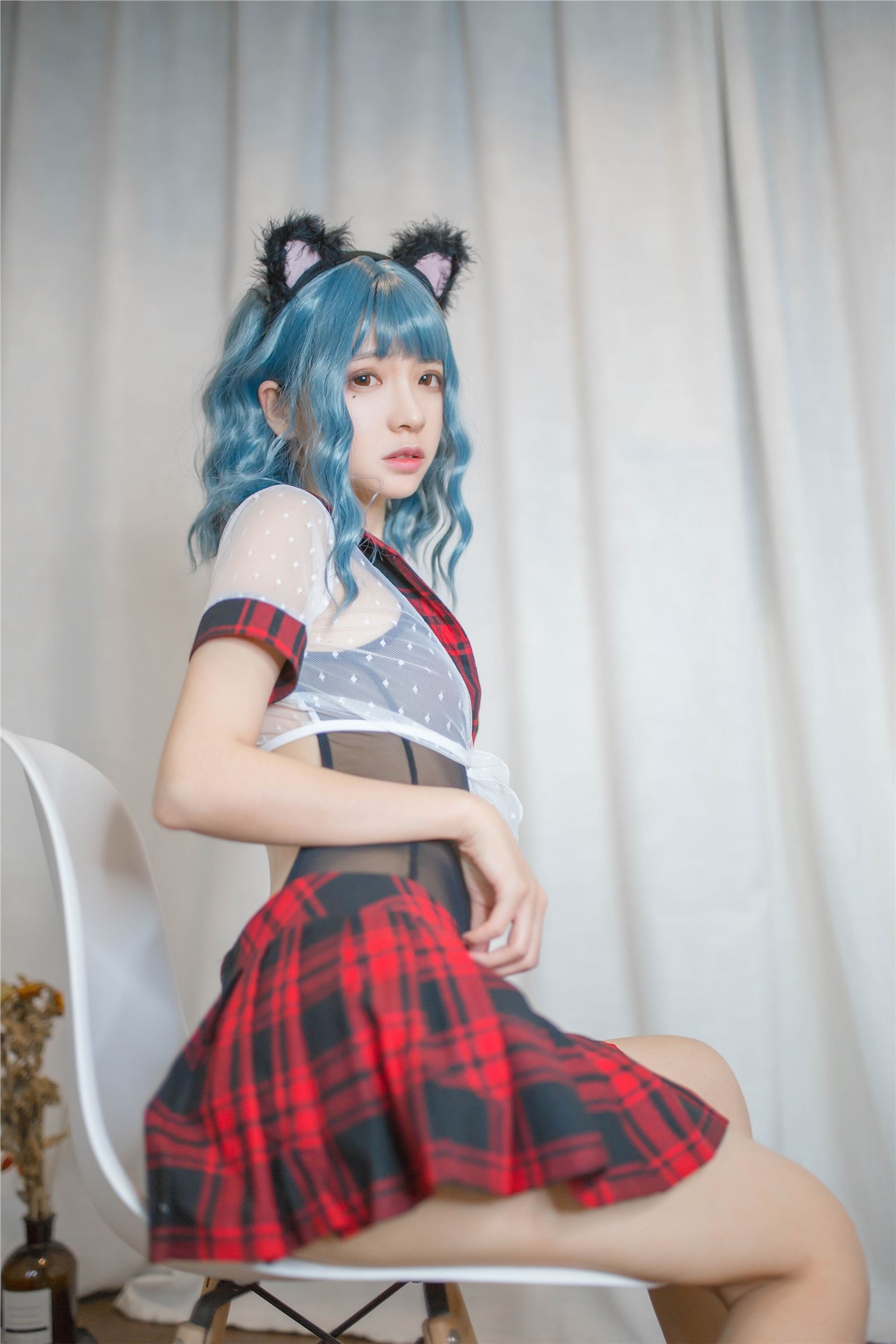 Crazy cat with blue hair(20)